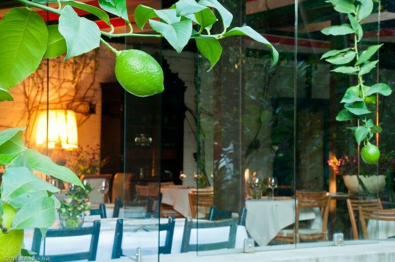 Hotel Casa Lim�n