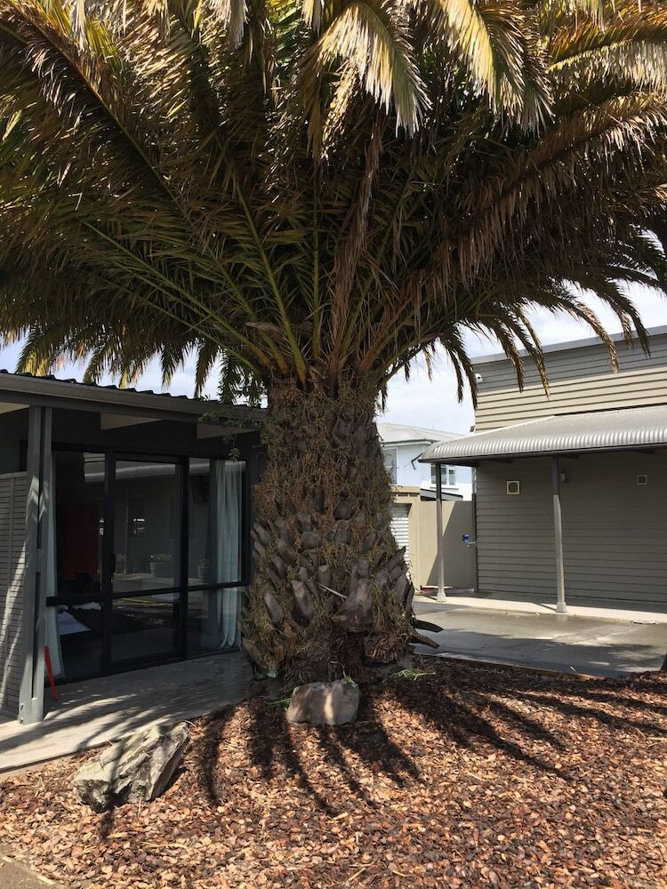 Hostal All Stars Inn - Hostel & Hotel Accommodation