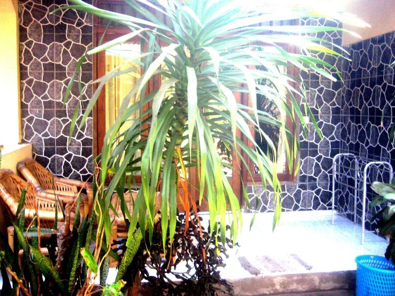 Hotel Gerald Homestay