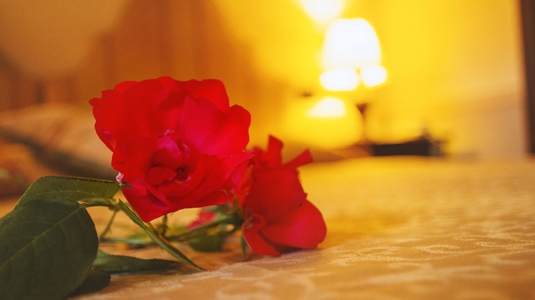 Agroturismo Relais Parco Fiorito & Spa