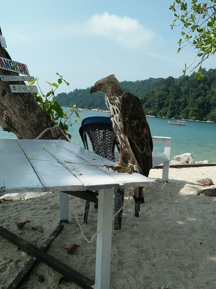 Posada Nazri Nipah Camp