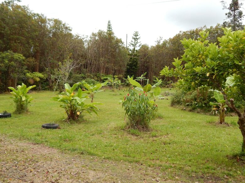 Bed & Breakfast Fern Forest Getaway