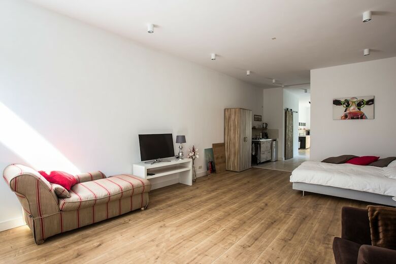 Apartamentos Park43