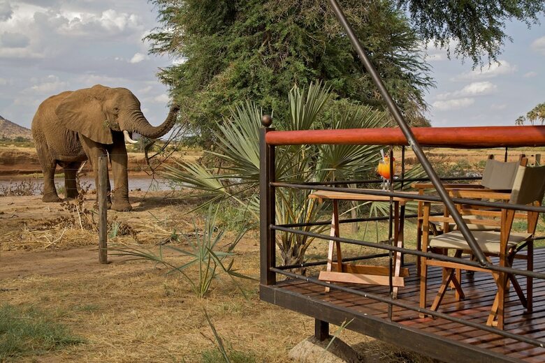 Ashnil Samburu Camp
