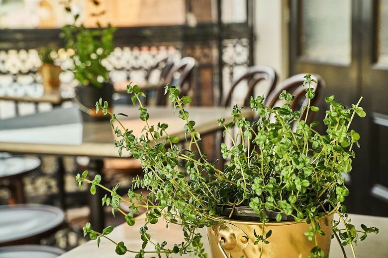 The Bronte Boutique Hotel
