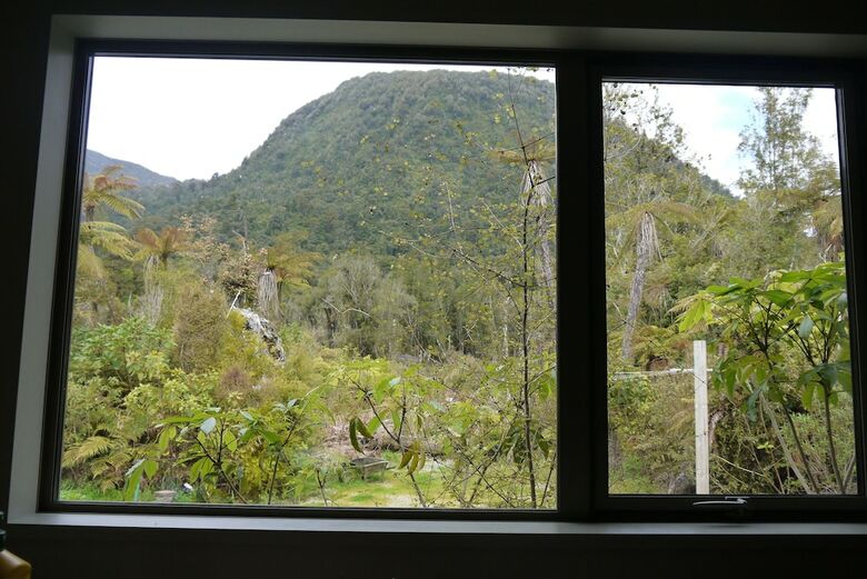 Franz Josef Treetops