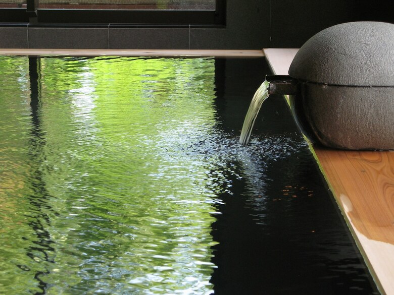 Hotel Chikusenso Onsen