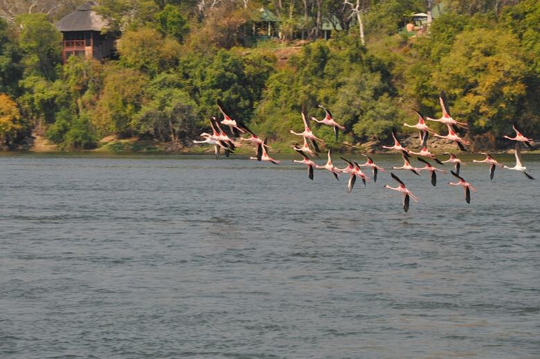 Posada The River Club