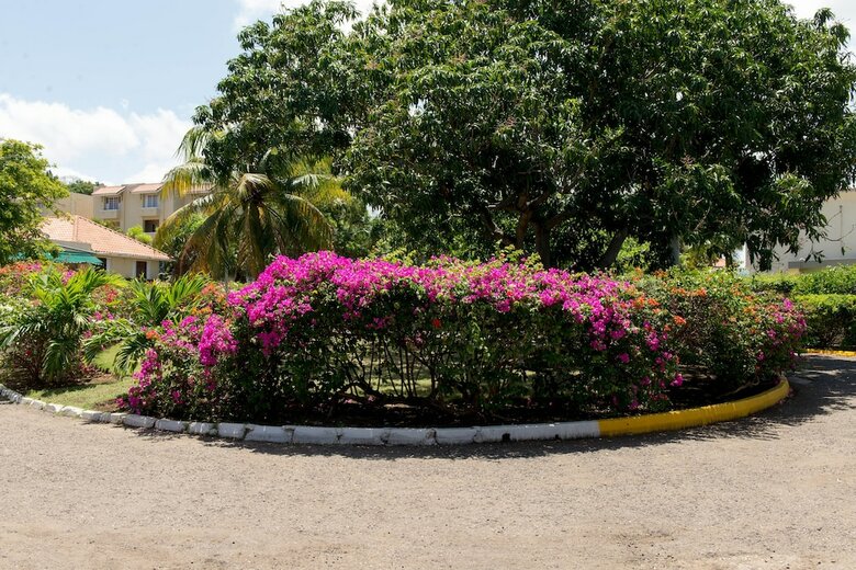 Apartamentos Sea Shell Beach Studio At Montego Bay Club Resort