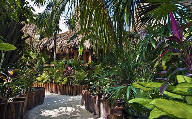 Hotel Ramon's Village Resort