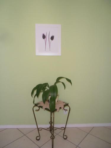 Apartamento Itapiranga
