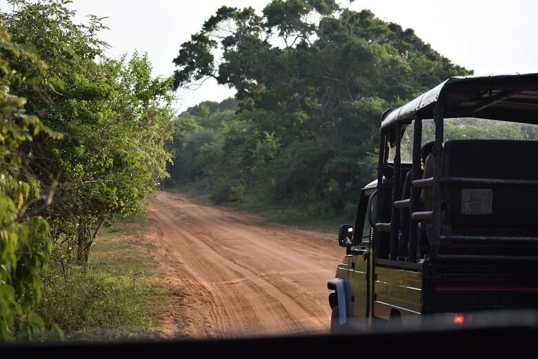 Jetwing Safari Camp ( All Inclusive)