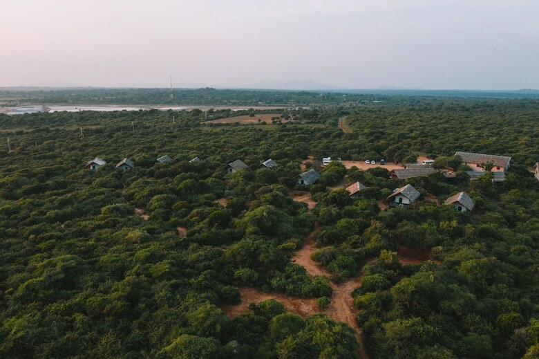 Jetwing Safari Camp ( All Inclusive)