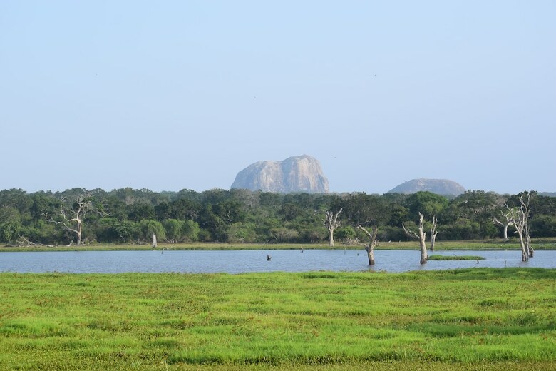 Jetwing Safari Camp ( All Inclusive)