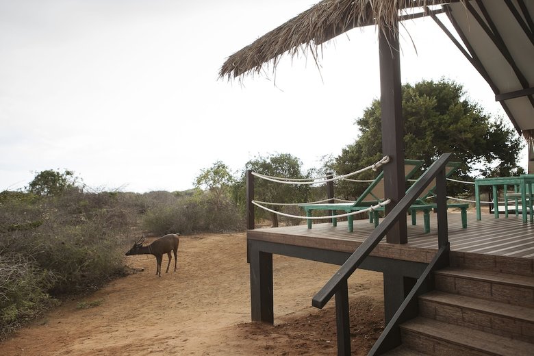 Jetwing Safari Camp ( All Inclusive)