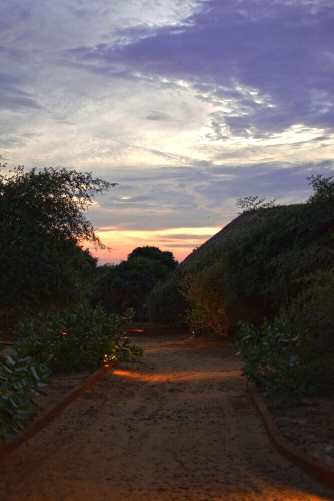 Jetwing Safari Camp ( All Inclusive)