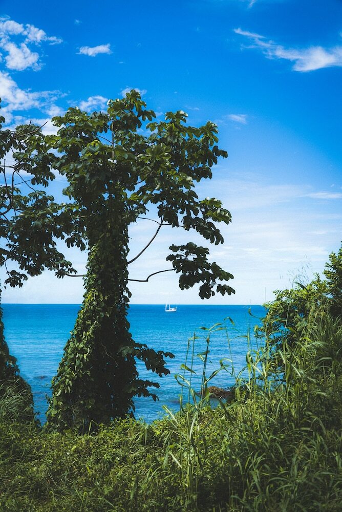 Apartamento Mount Irvine Bay Resort
