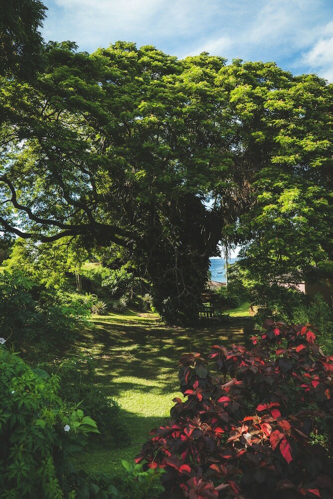 Apartamento Mount Irvine Bay Resort