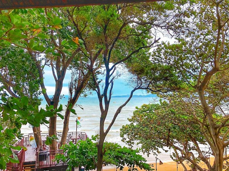 Hotel Birds And Bees Resort