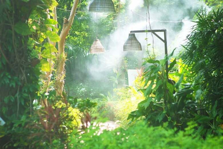 Hotel Birds And Bees Resort