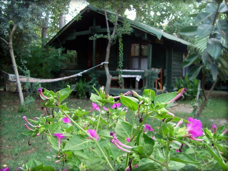 Bed & Breakfast Bellerofon Hotel