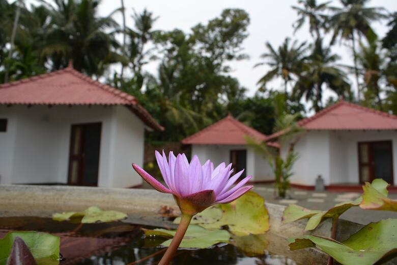 Hotel Lagoon Resort Goviyapana