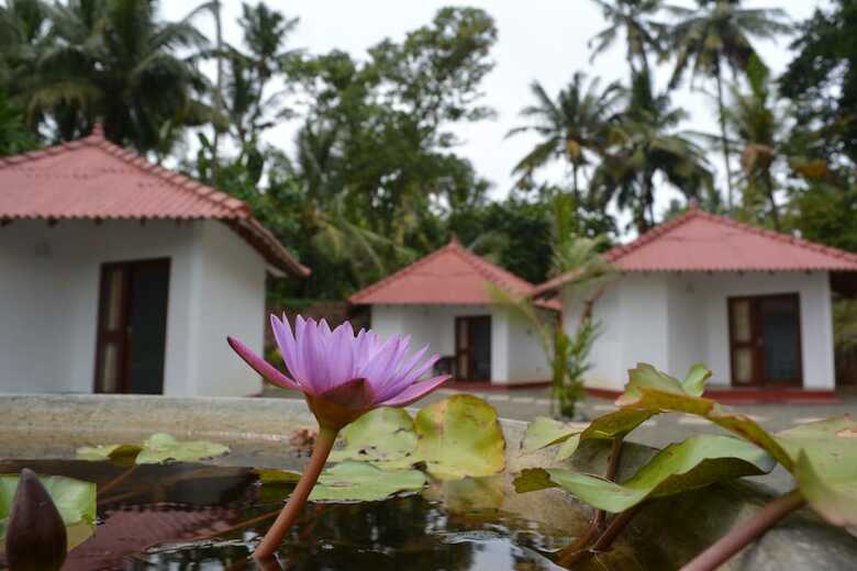 Hotel Lagoon Resort Goviyapana