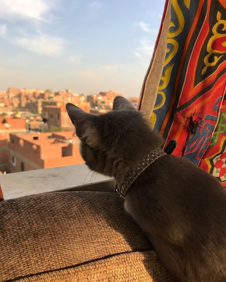 Hotel Pyramids Loft Homestay