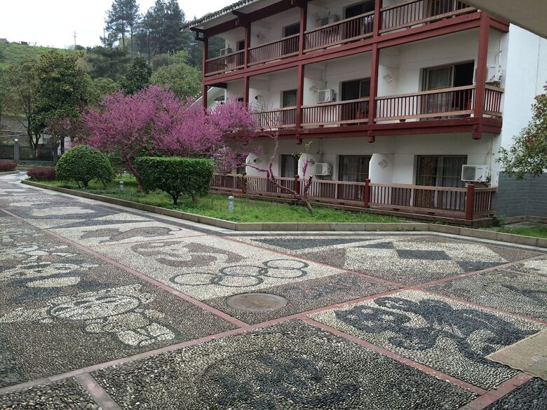 Pipaxi Hotel