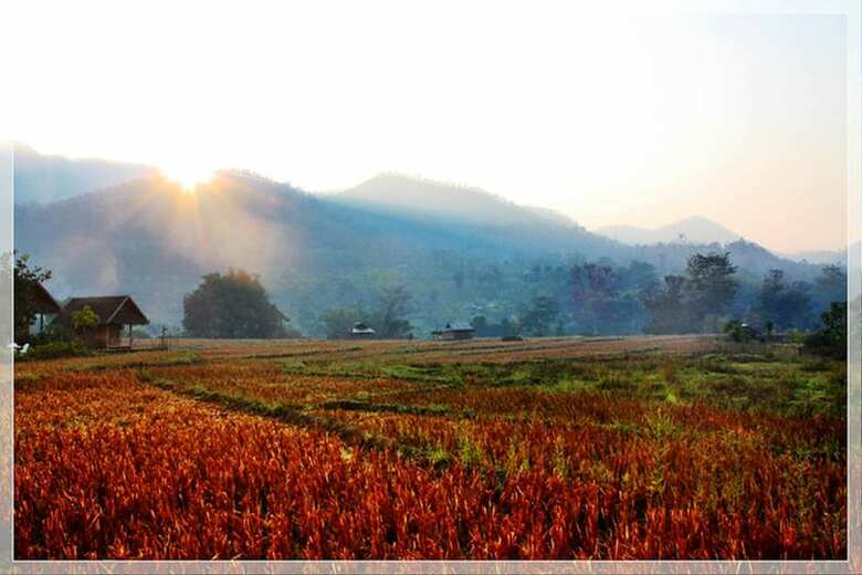 Hotel Pai Vieng Fah