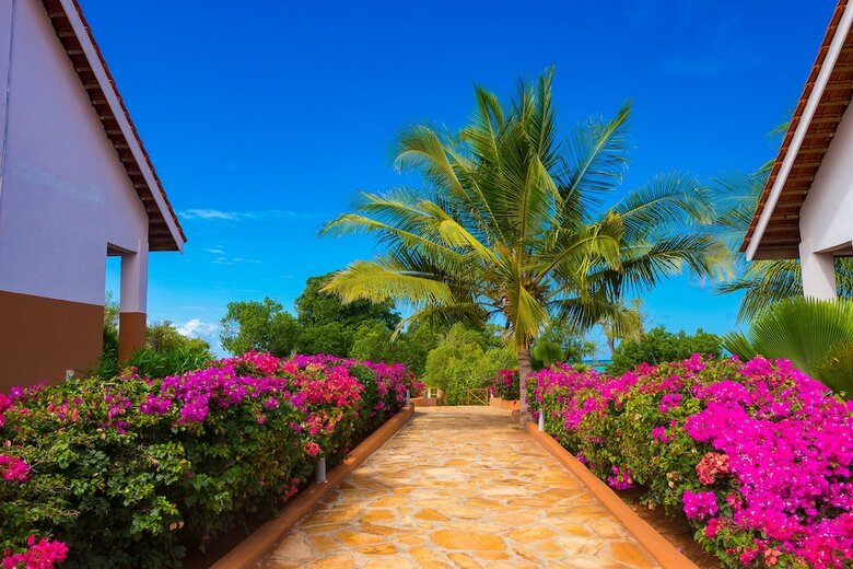 Hotel Azao Resort & Spa