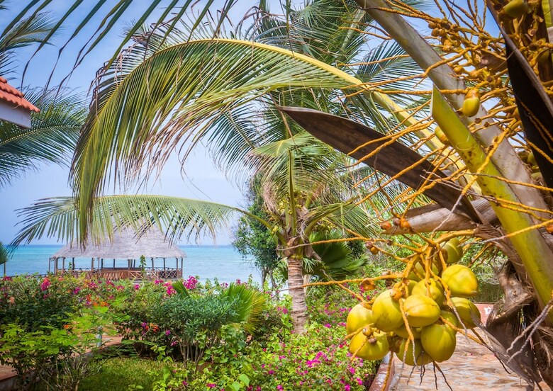 Hotel Azao Resort & Spa