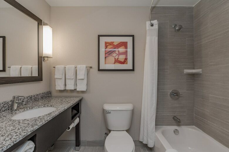 Hotel Holiday Inn Mishawaka