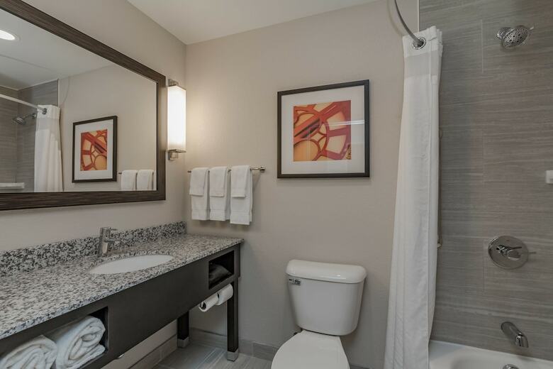 Hotel Holiday Inn Mishawaka