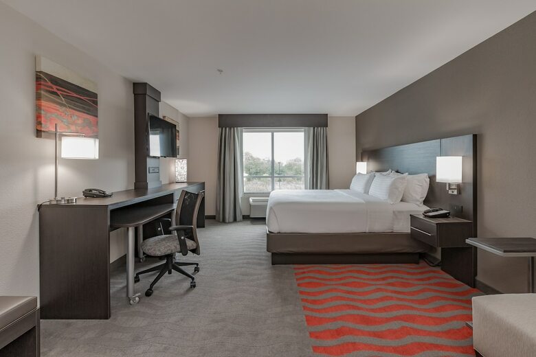 Hotel Holiday Inn Mishawaka