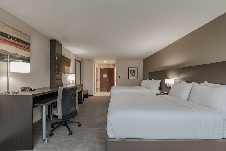 Hotel Holiday Inn Mishawaka