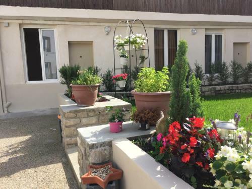 Hotel H�tel Rachel
