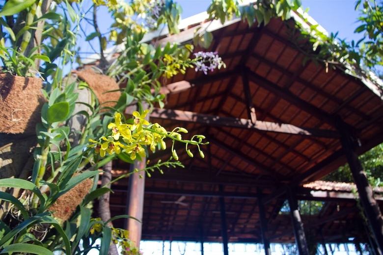 Hotel The Beach House Resort