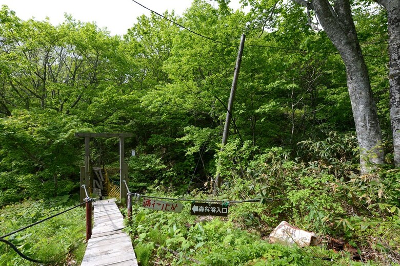 Mori No Ryotei Mount Bandai