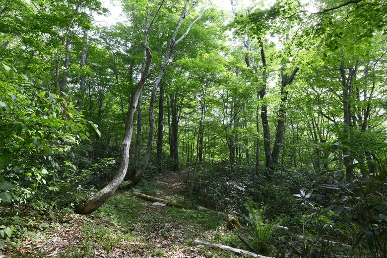 Mori No Ryotei Mount Bandai