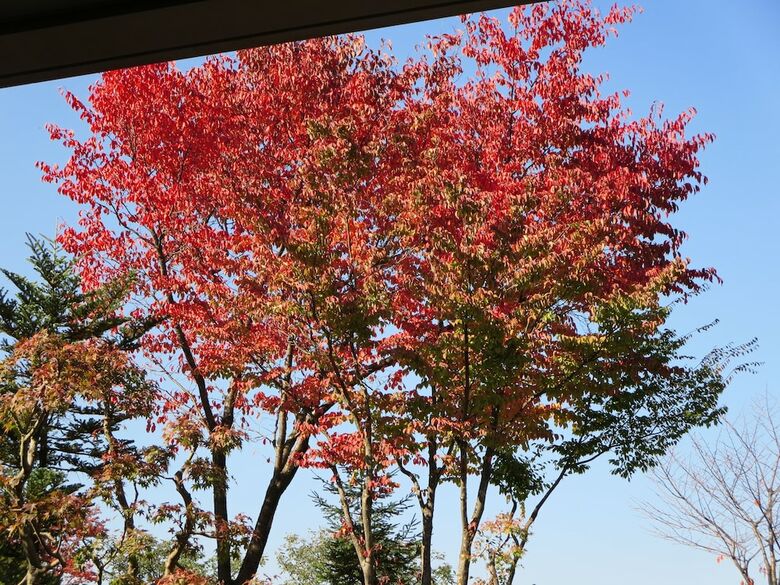 Hotel Atema Kogen Resort Belnatio