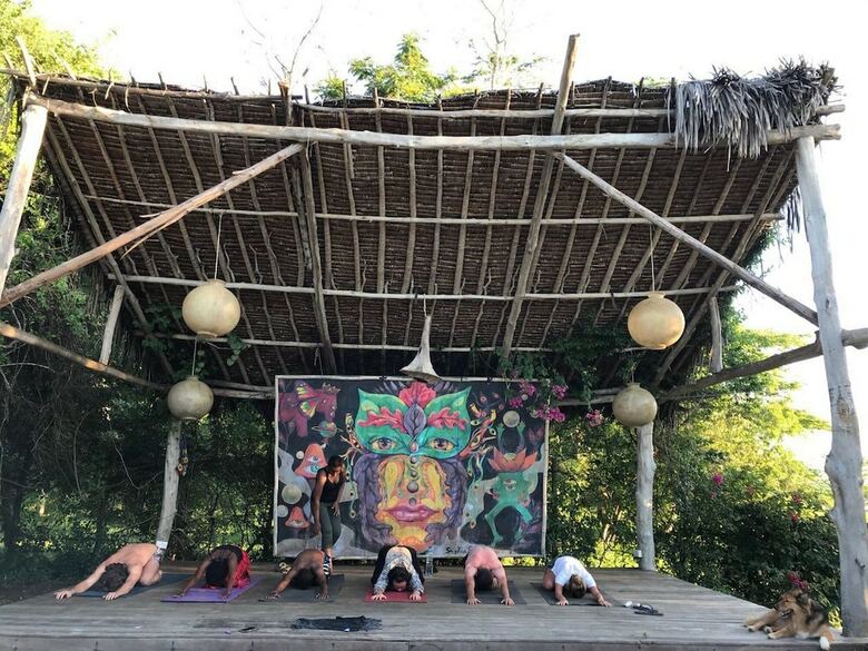 Hostal Distant Relatives Ecolodge & Backpackers - Hostel