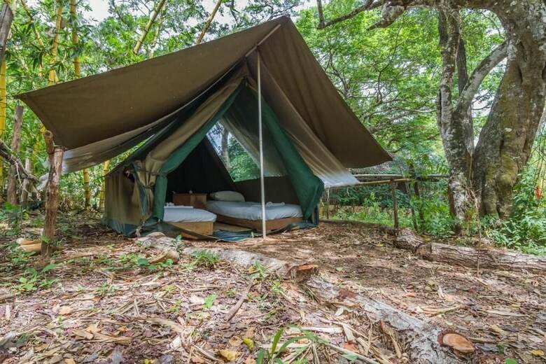 Hostal Distant Relatives Ecolodge & Backpackers - Hostel