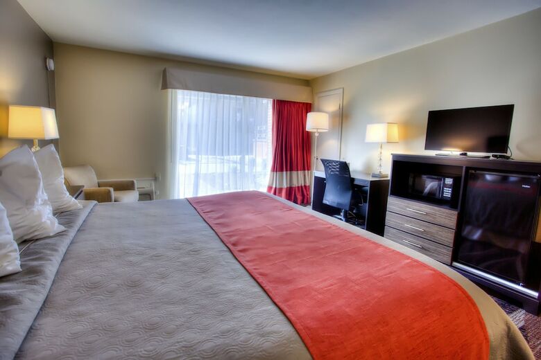 The Beaucatcher ? A Boutique Motel