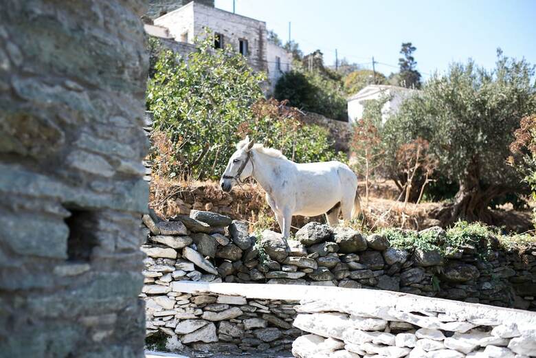 Villa Andros Maisonettes