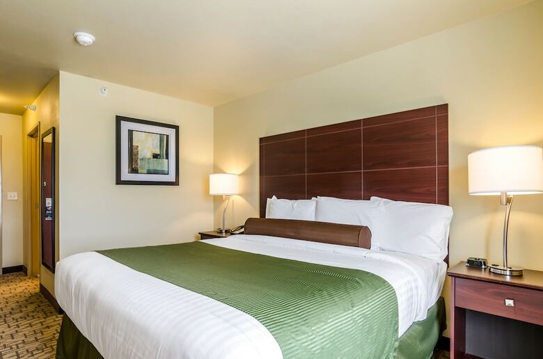 Hotel Cobblestone Inn & Suites - Oberlin