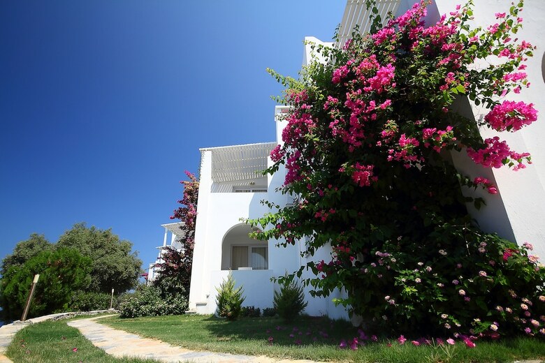 Hotel Vega Boutique & Aparts