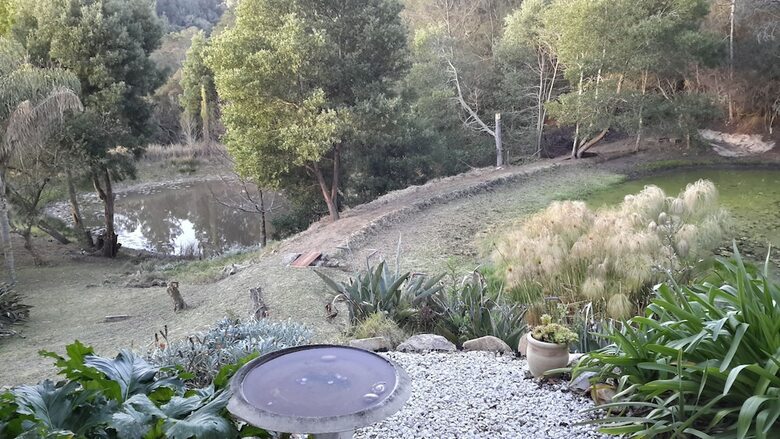 Masescha Country Estate