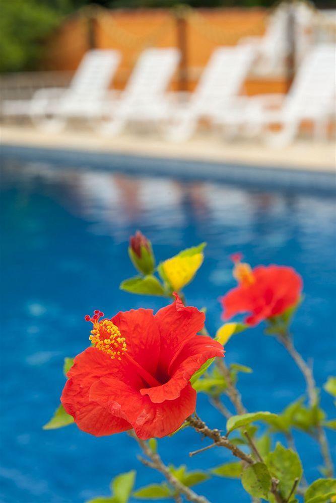 Hotel Ilhasol