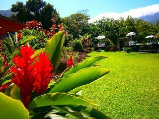Hostal Caravela Pousada Brom�lias